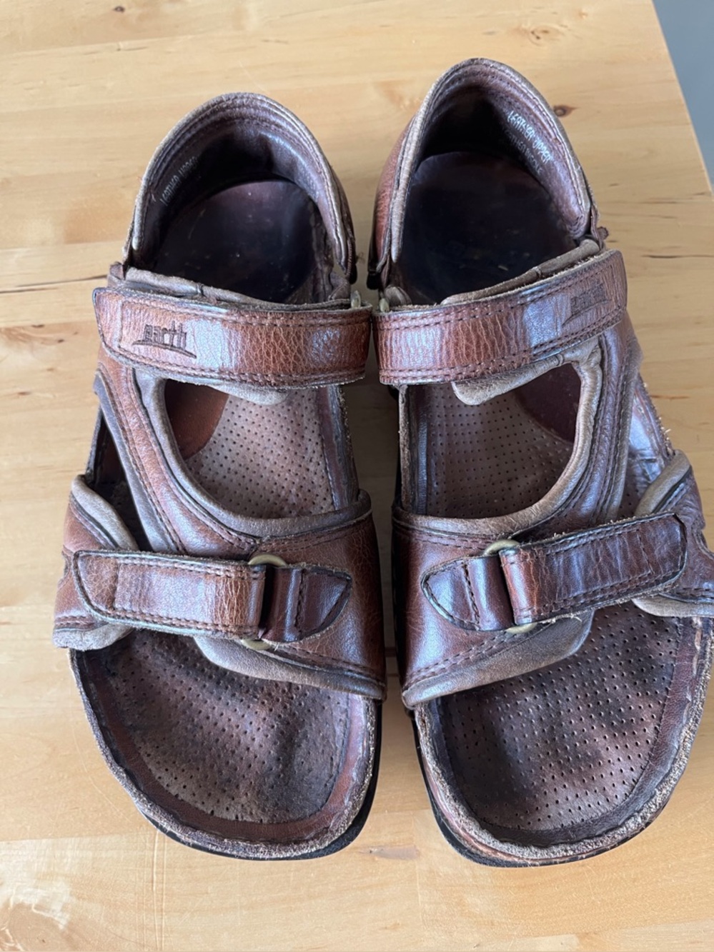 Iconic Earth Shoe Sandals